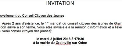 CONSEIL CITOYEN JEUNES