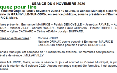 PROCES VERBAL DE LA REUNION DU CONSEIL MUNICIPAL SÉANCE  DU 9 NOVEMBRE 2020